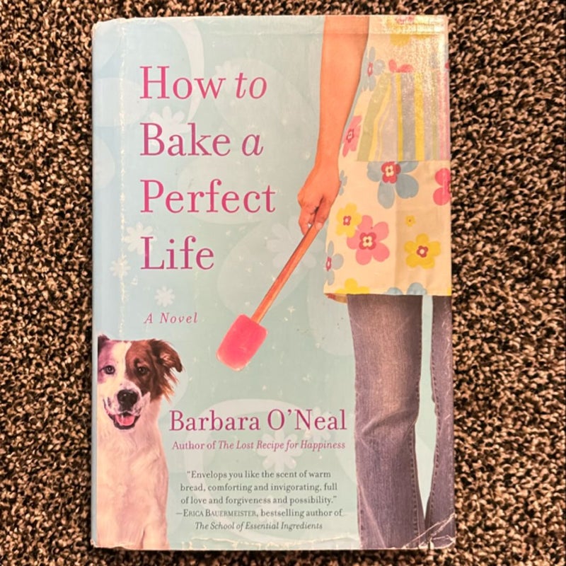 How to Bake a Perfect Life