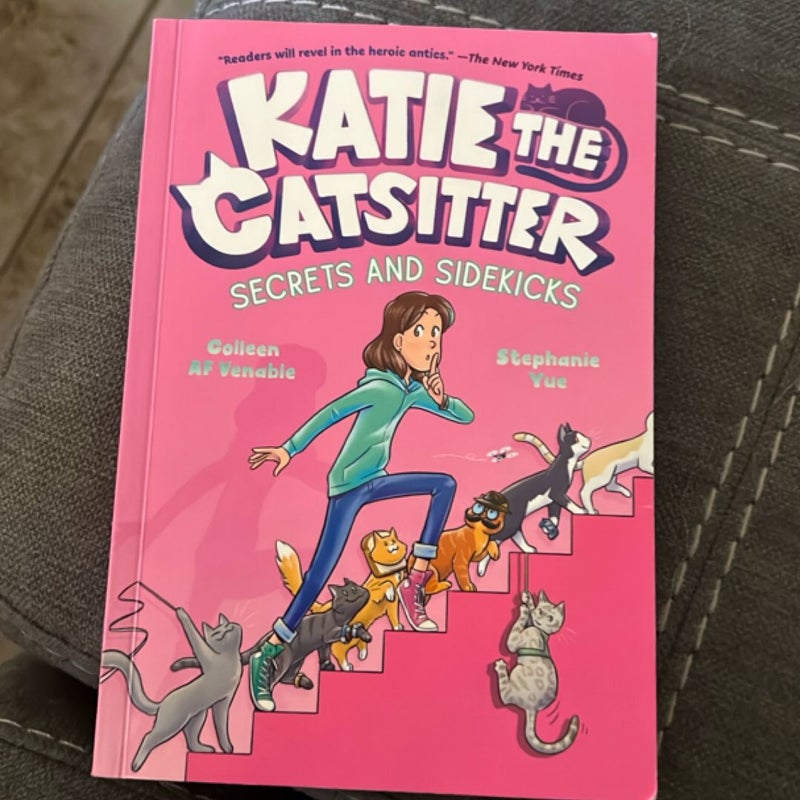 Katie the Catsitter 3: Secrets and Sidekicks