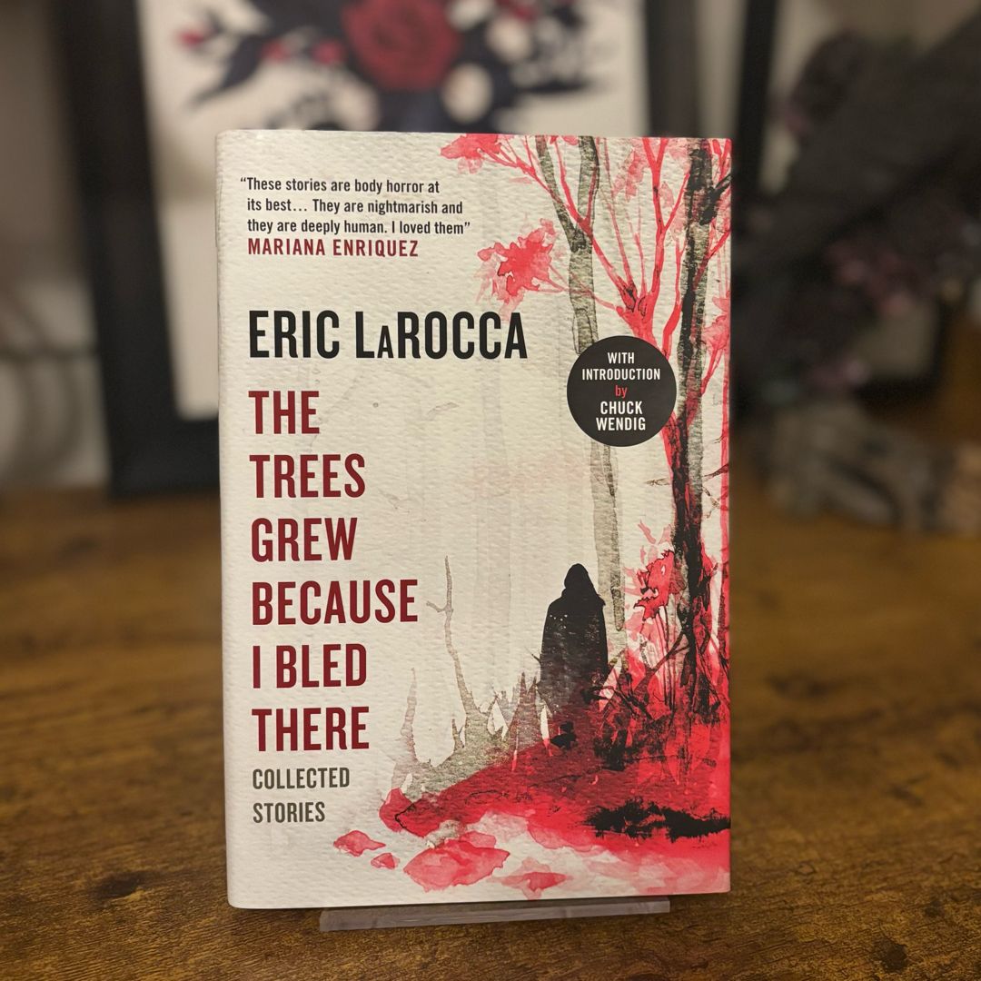 Sale image for 9dfc5169-2543-4ca0-be1a-80d6ee13c2b5-MhE83t4Hy6M9ScXIzdAkf3BPjzV2