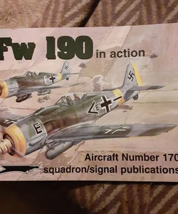 FW190 in Action