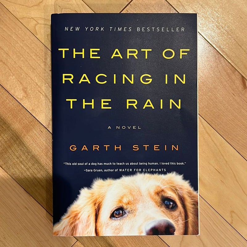 The Art of Racing in the Rain