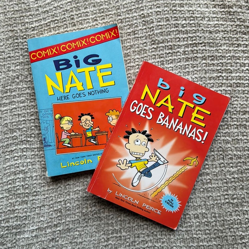 Big Nate Collection (14 books)
