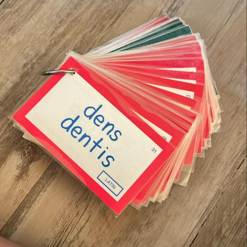 English from the Roots up I Flashcards
