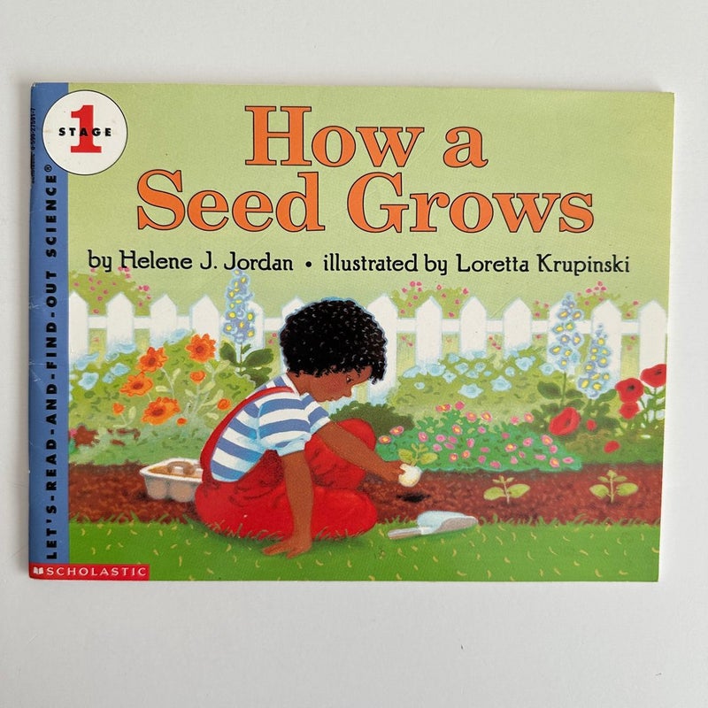 How a Seed Grows