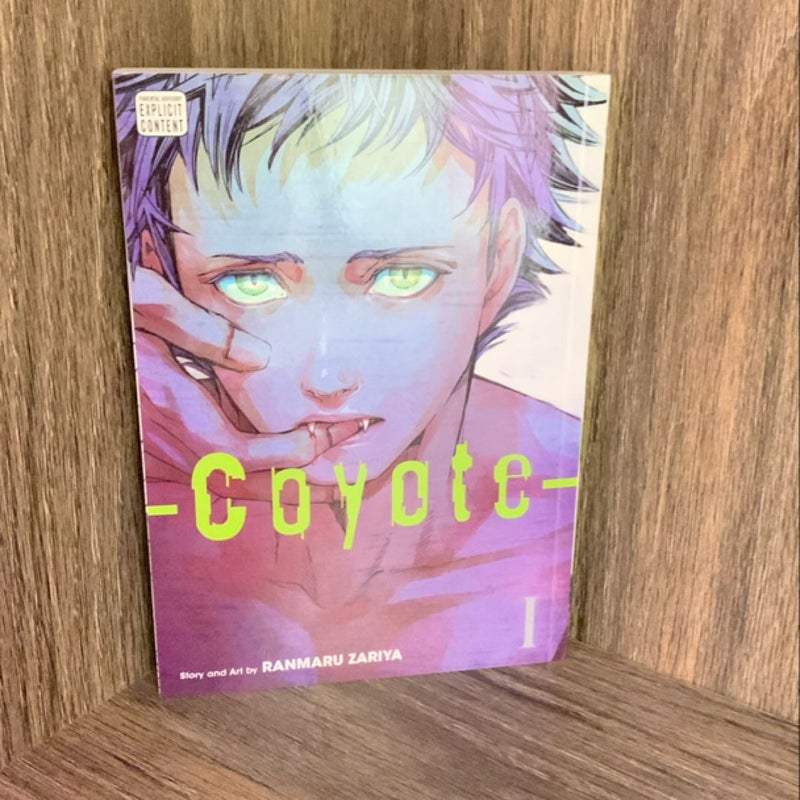 Coyote, Vol. 1