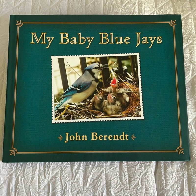 My Baby Blue Jays