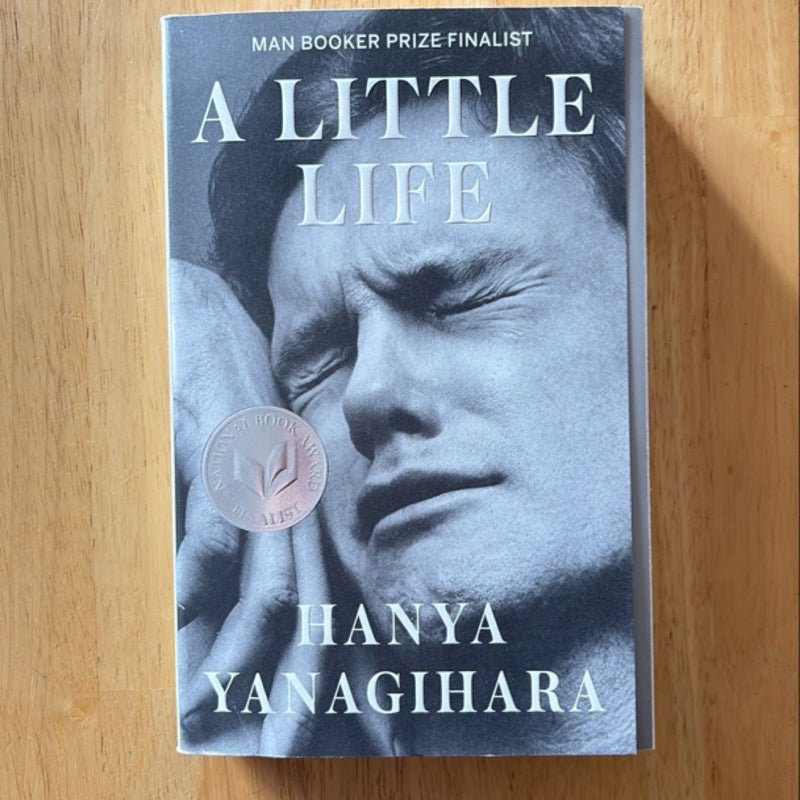 A Little Life