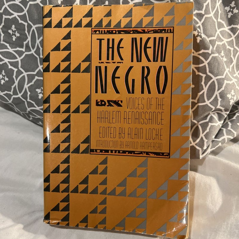 The New Negro by Alain Locke, Paperback Pangobooks