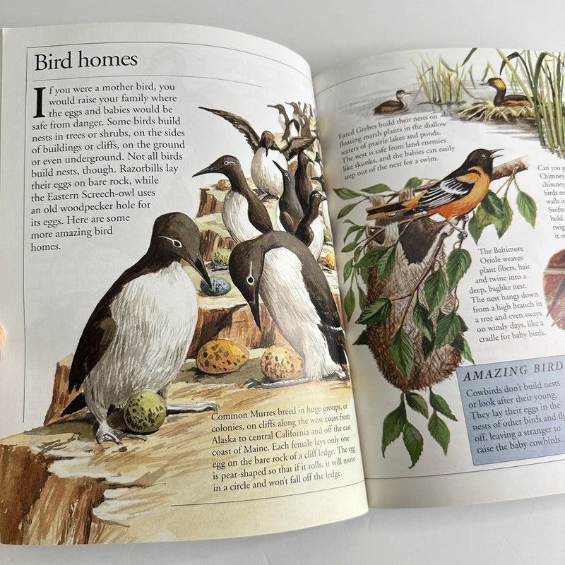 Starting With Nature: Plant, Bird, Tree, Bug book bundle