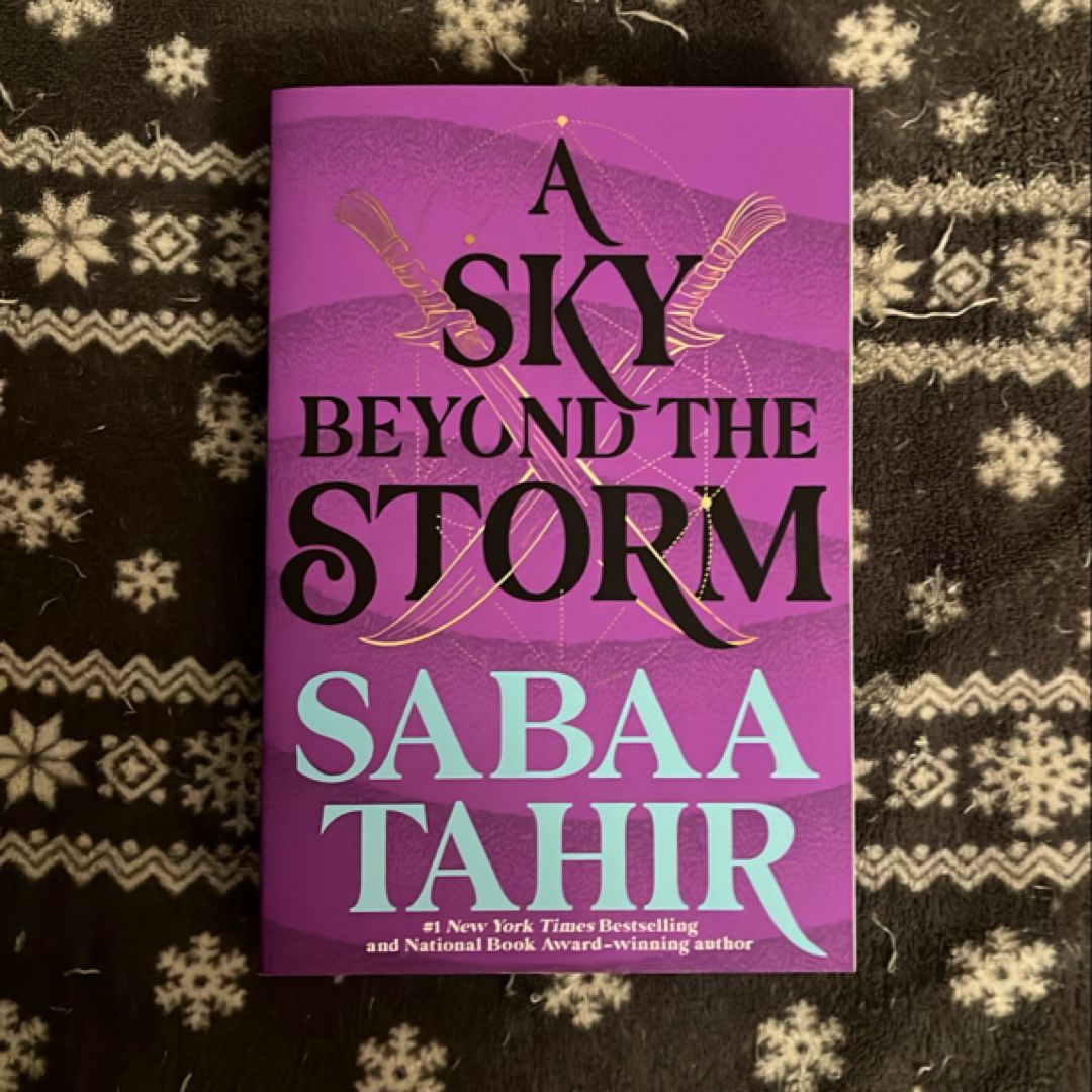 A Sky Beyond the Storm