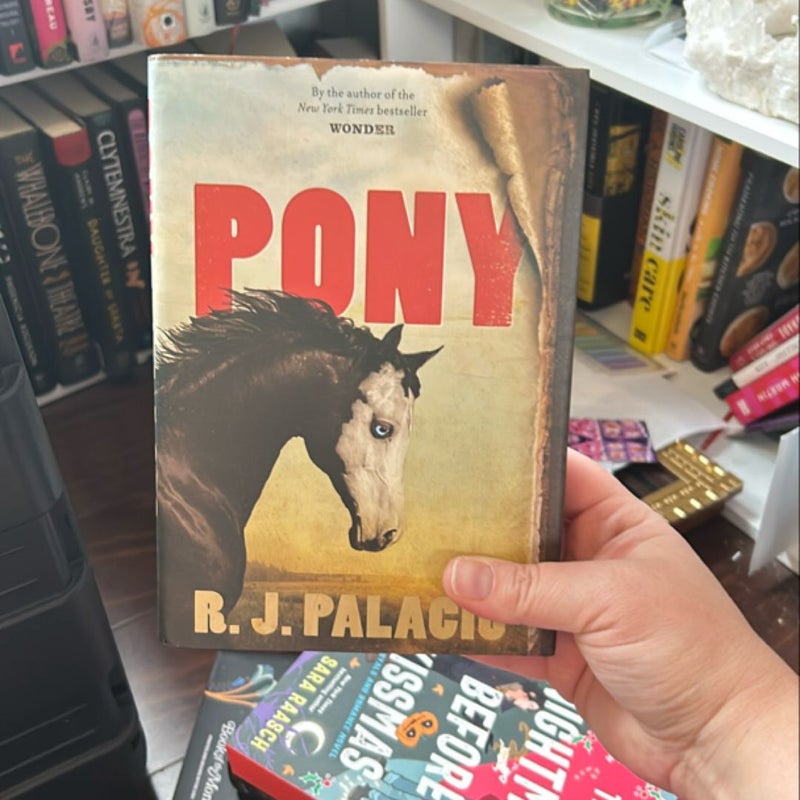 Pony