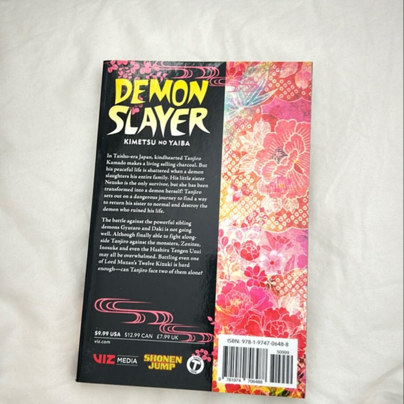 Demon Slayer: Kimetsu No Yaiba, Vol. 11