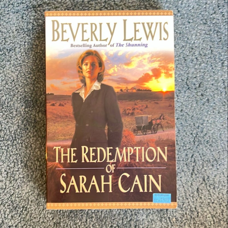 The Redemption of Sarah Cain