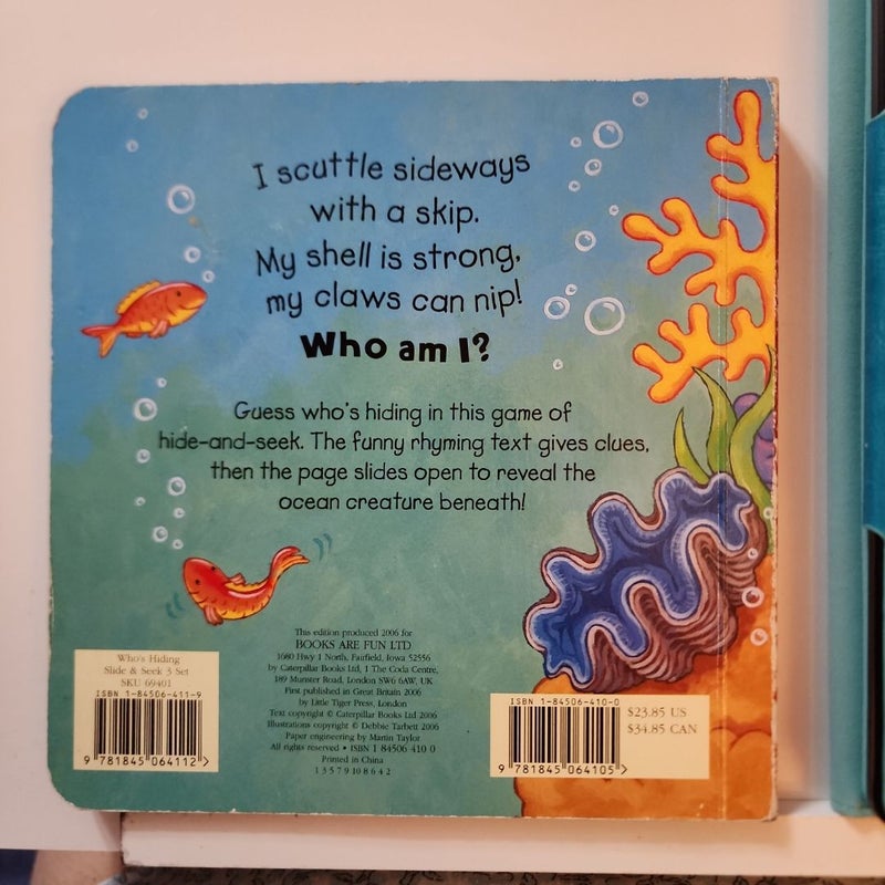 Who's hiding under the sea? 