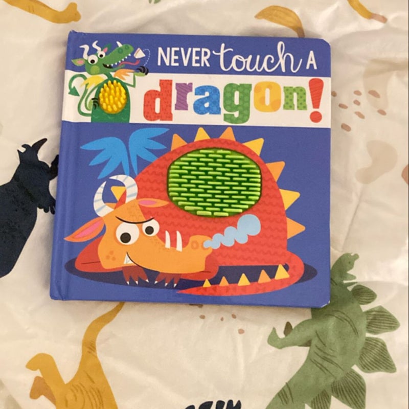 Never Touch a Dragon