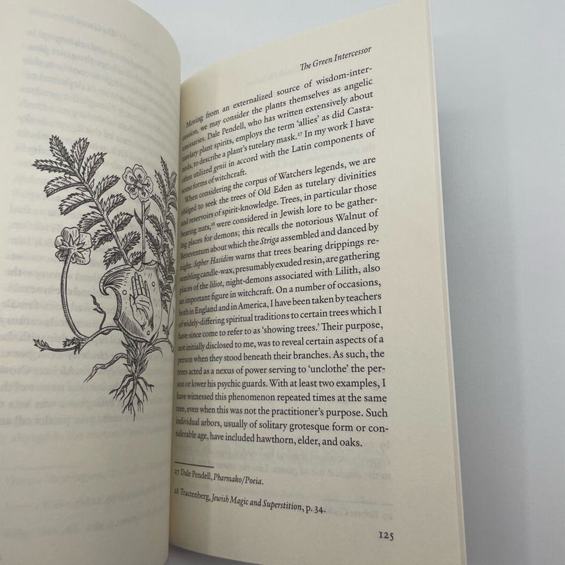 Thirteen Pathways of Occult Herbalism