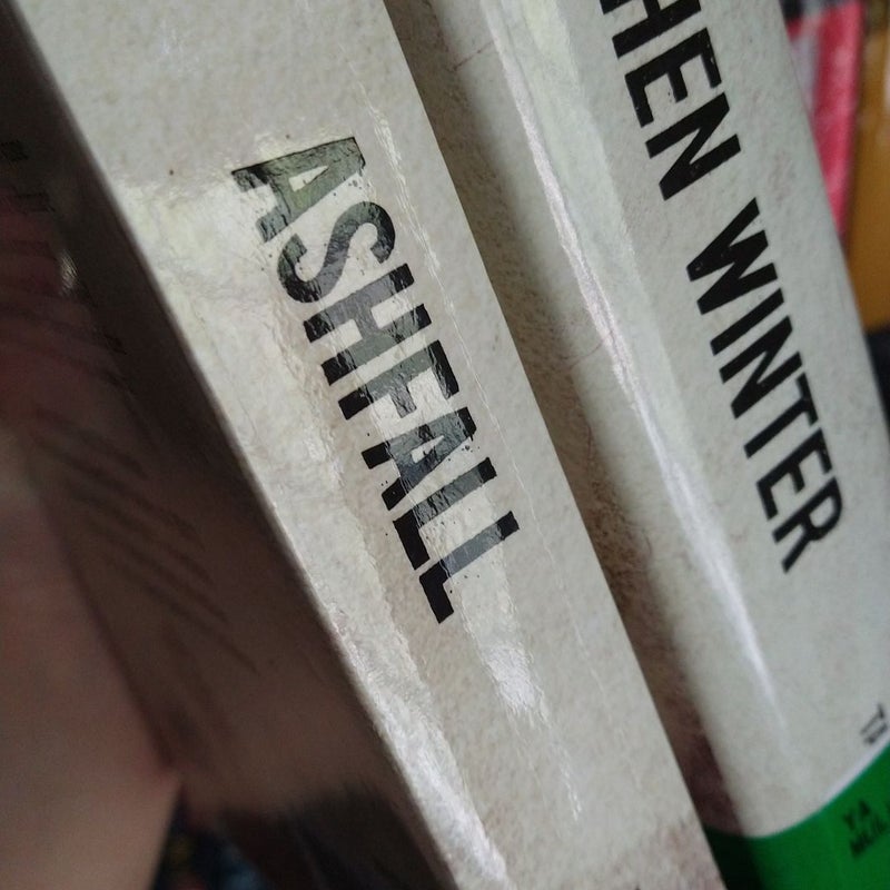 Ashfall and Ashen winter