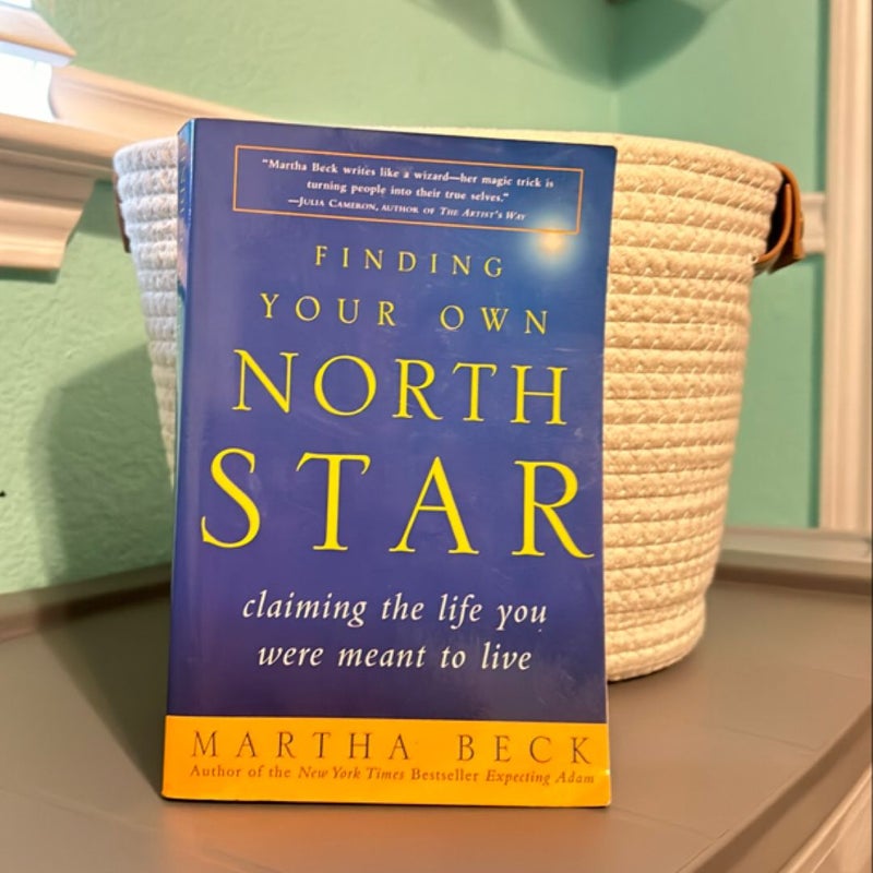 Finding Your Own North Star