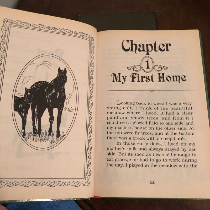 Black Beauty Illustrated Classic