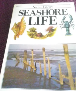 Seashor Life