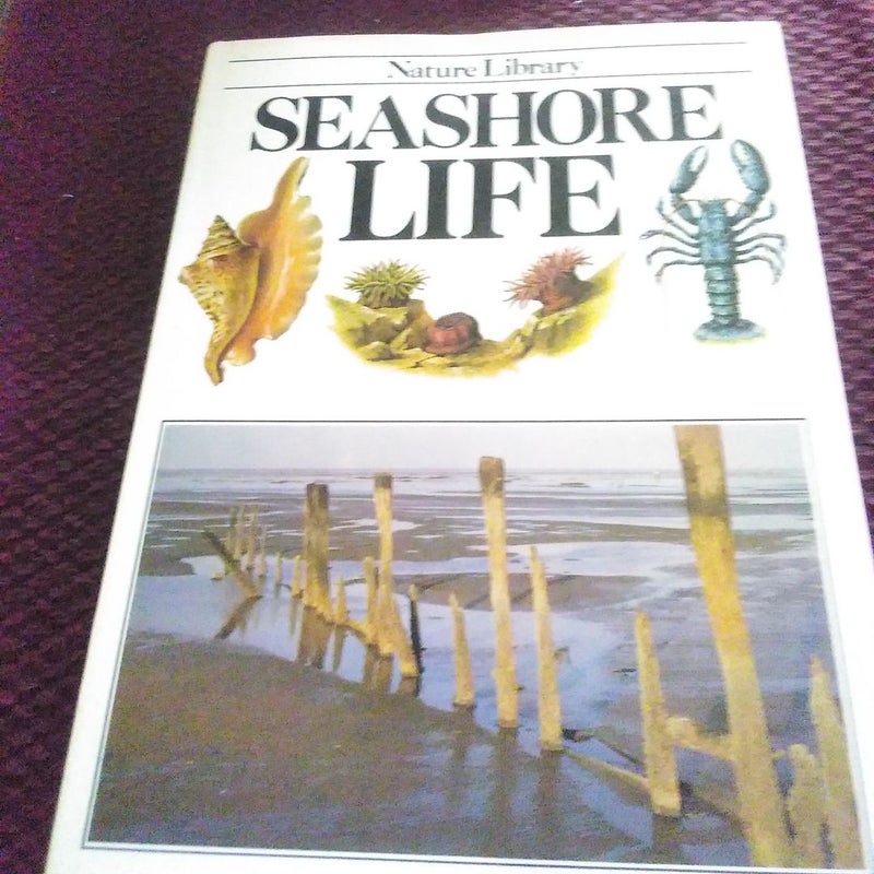 Seashor Life