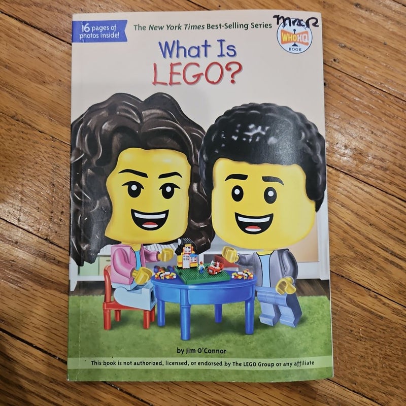 What Is LEGO?