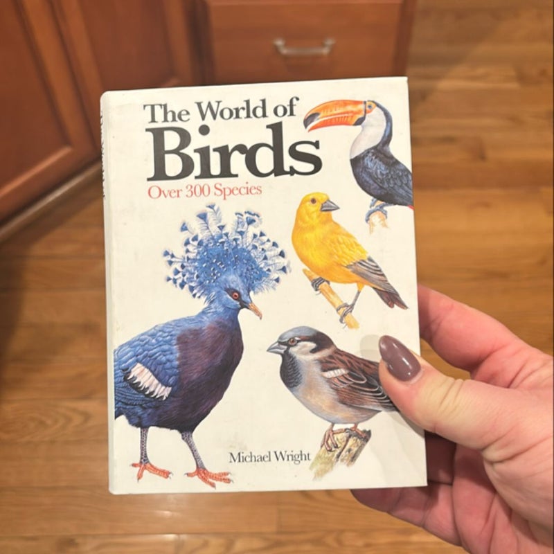 The World of Birds