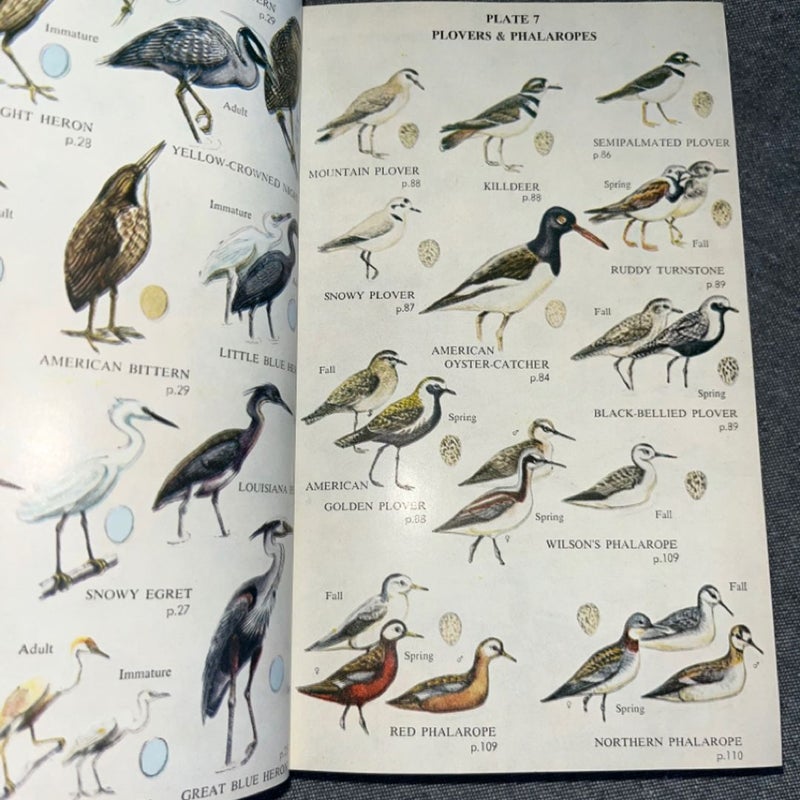 Complete afield Guide to American Wildlife