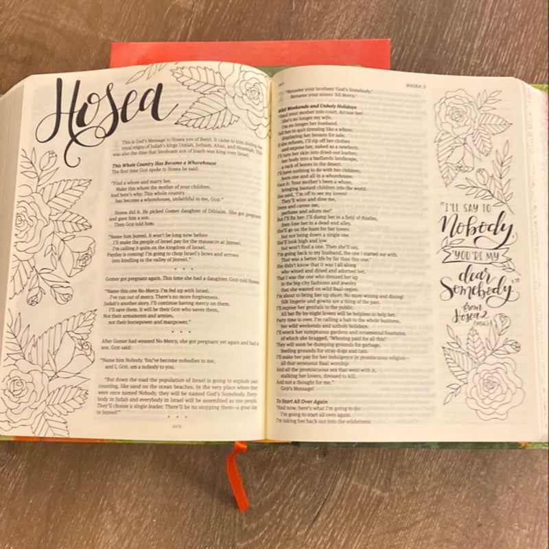 The Message Canvas Bible