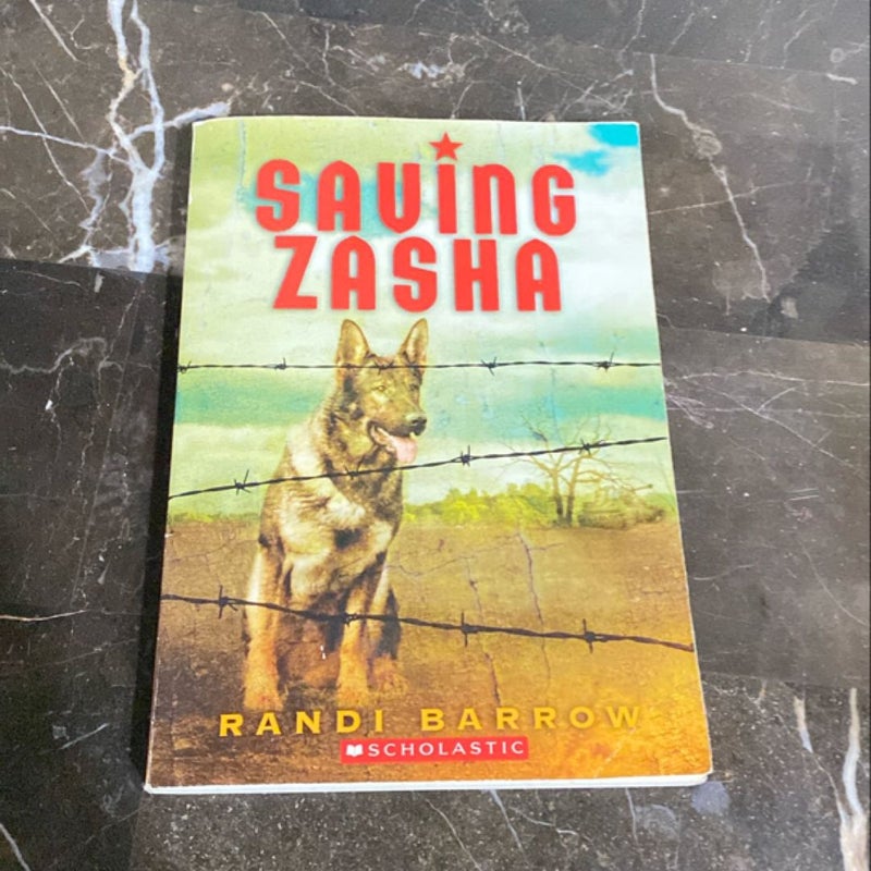 Saving Zasha