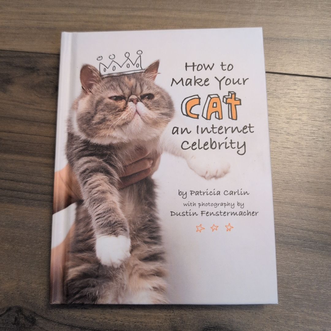 How to Make Your Car an Internet Celebrity 