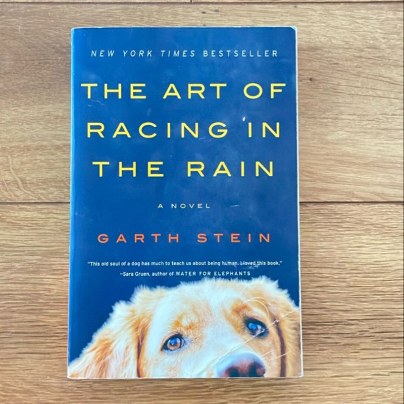 The Art of Racing in the Rain