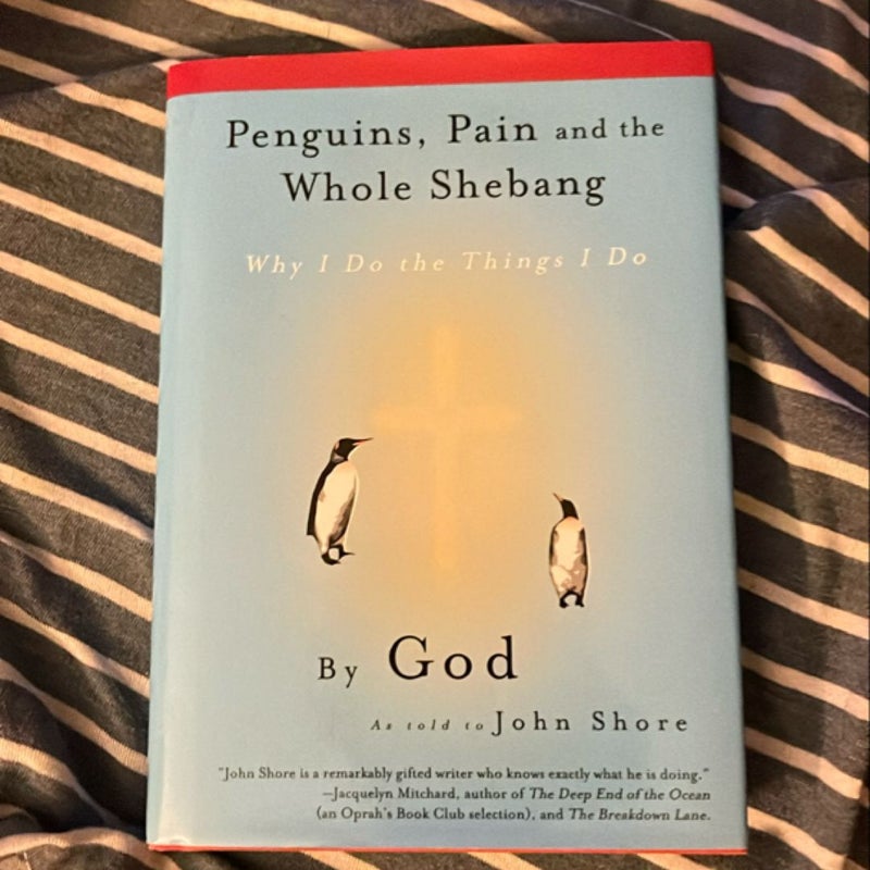 Penguins, Pain and the Whole Shebang