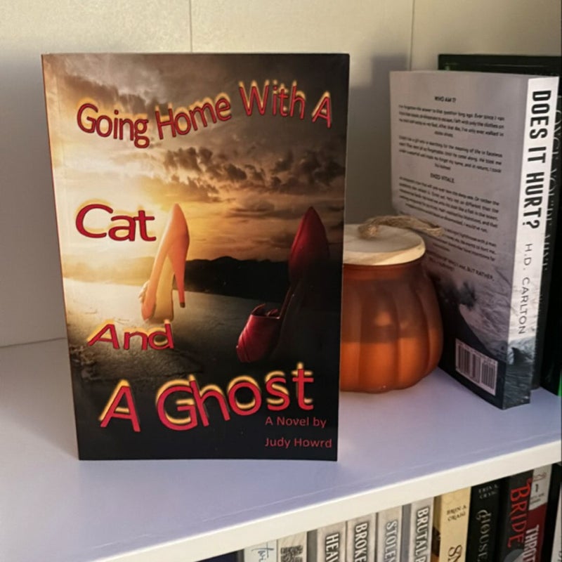 Going Home with a Cat and a Ghost