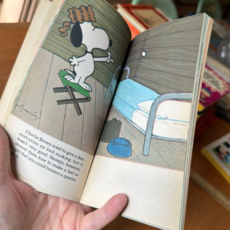 It Was a Short Summer, Charlie Brown