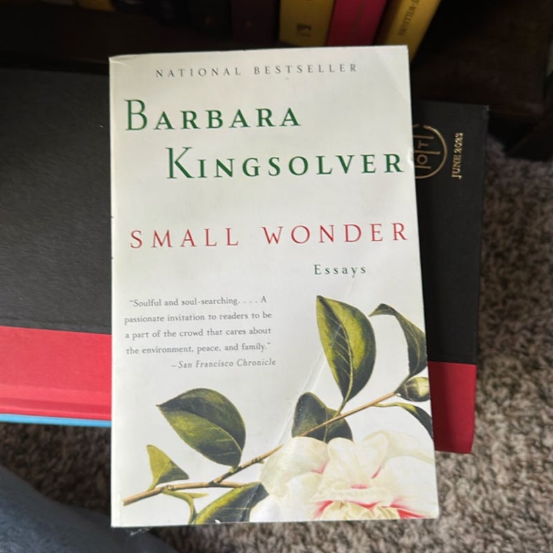 Small Wonder