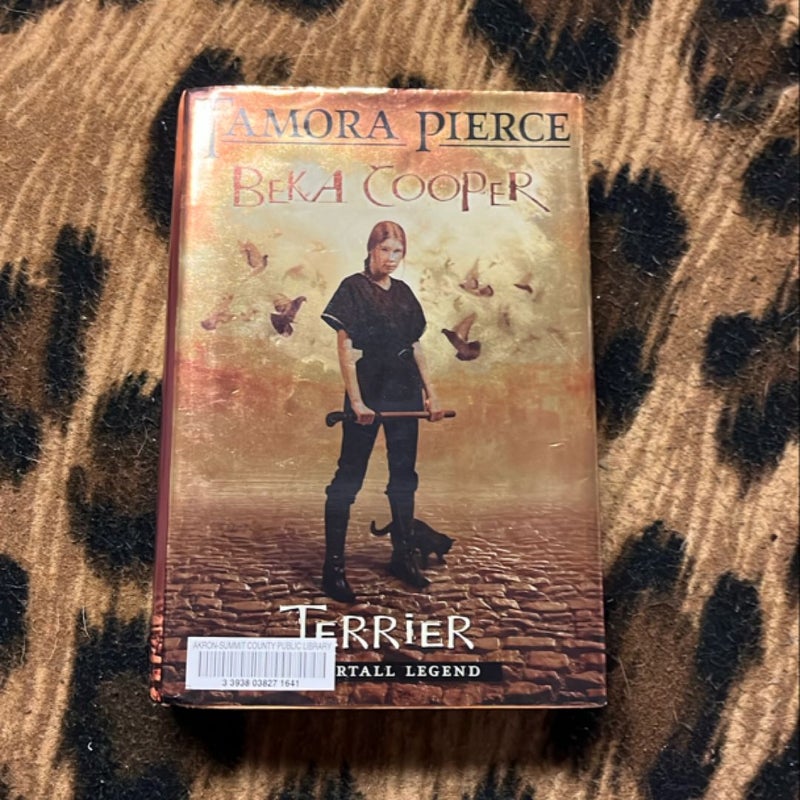 Terrier