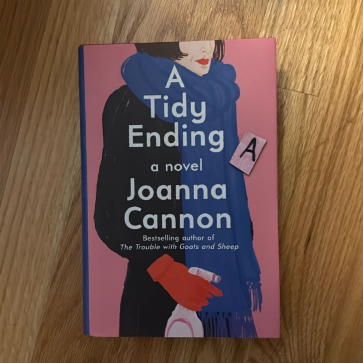 A tidy ending by joanna cannon