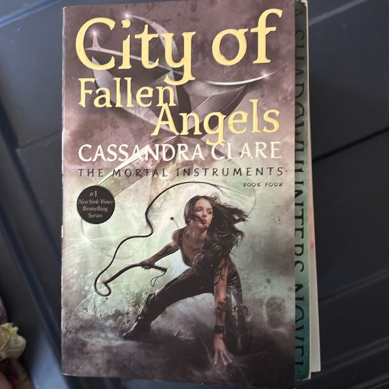 City of Fallen Angels