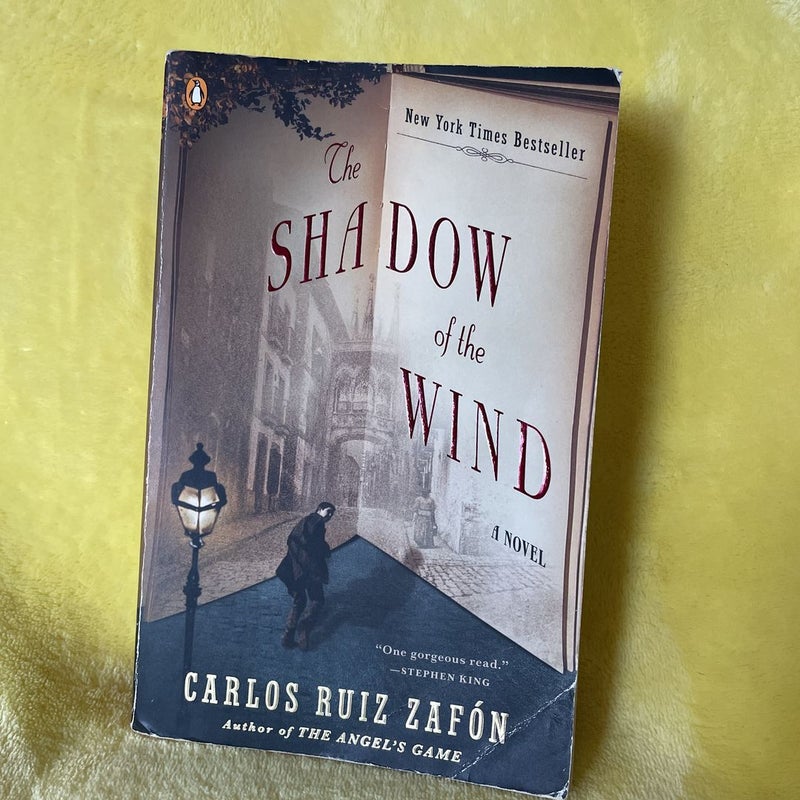 The Shadow of the Wind [Book]