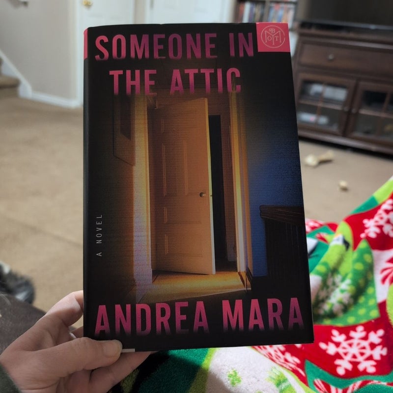 Someone in the Attic