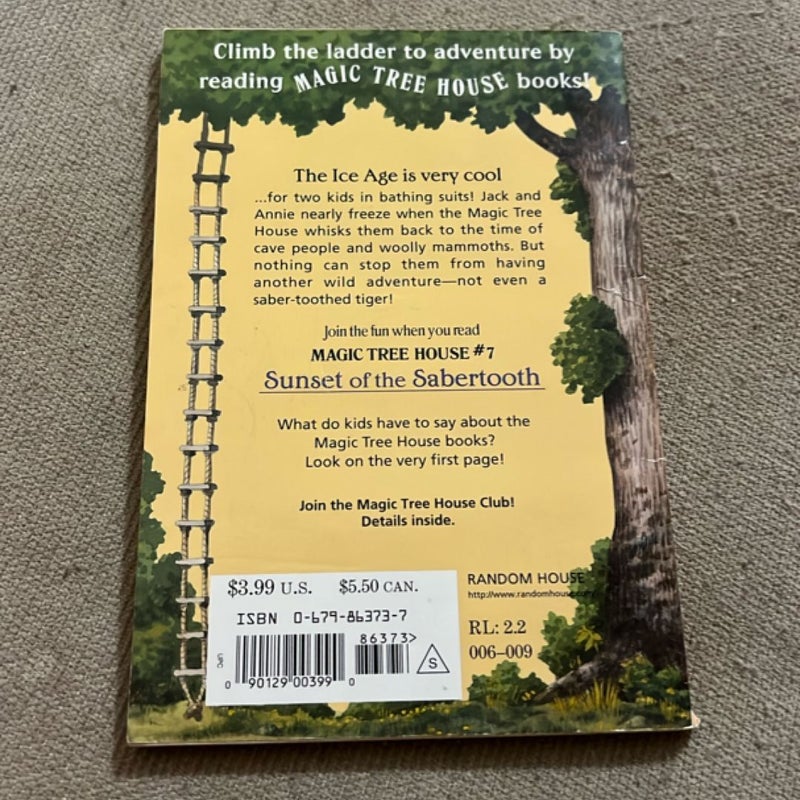 Magic tree house #7