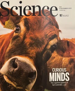 AAAS Science Magazine Vol 382 No 6675 8 December 2023 Curious Minds Winks