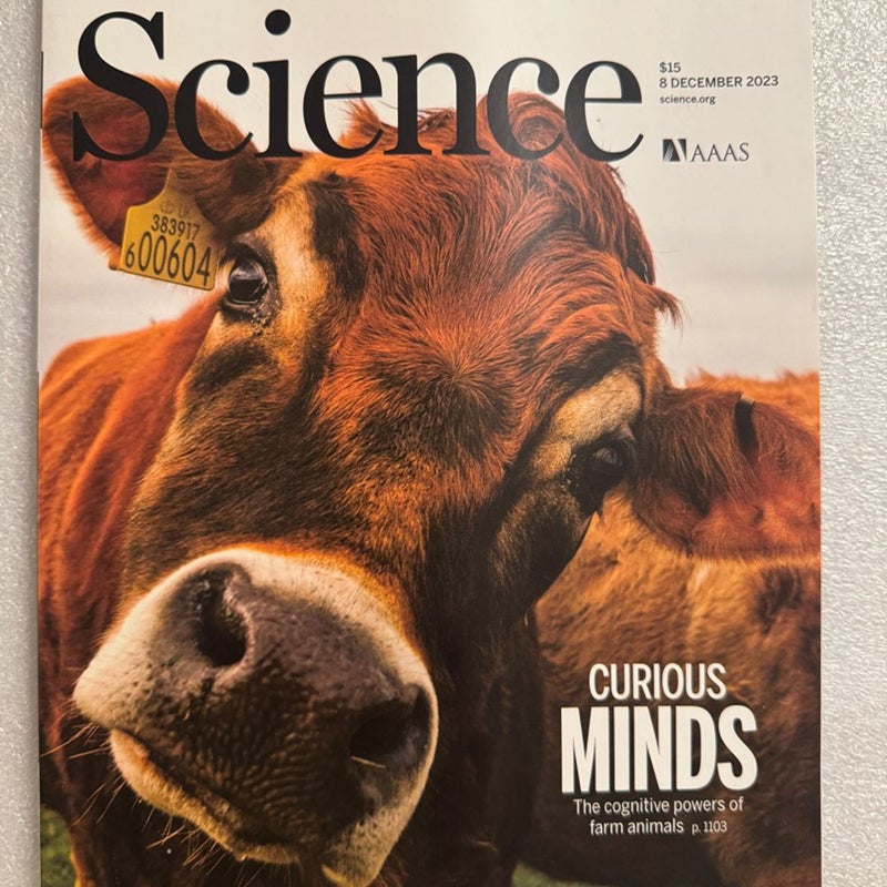 AAAS Science Magazine Vol 382 No 6675 8 December 2023 Curious Minds Winks