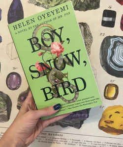 Boy, Snow, Bird