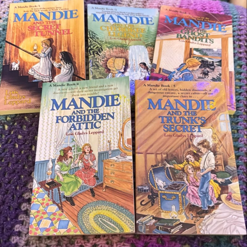 Mandie Books Boxed Set