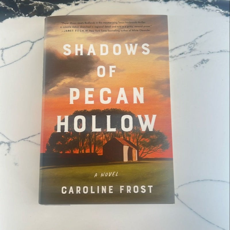 Shadows of Pecan Hollow