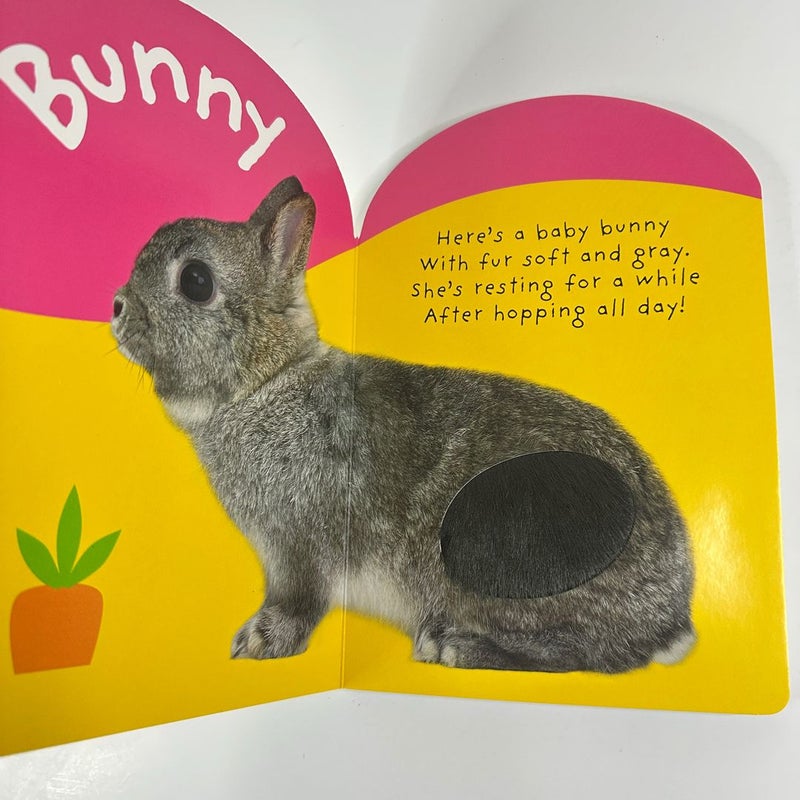 Easter Bunny Baby Touch and Feel