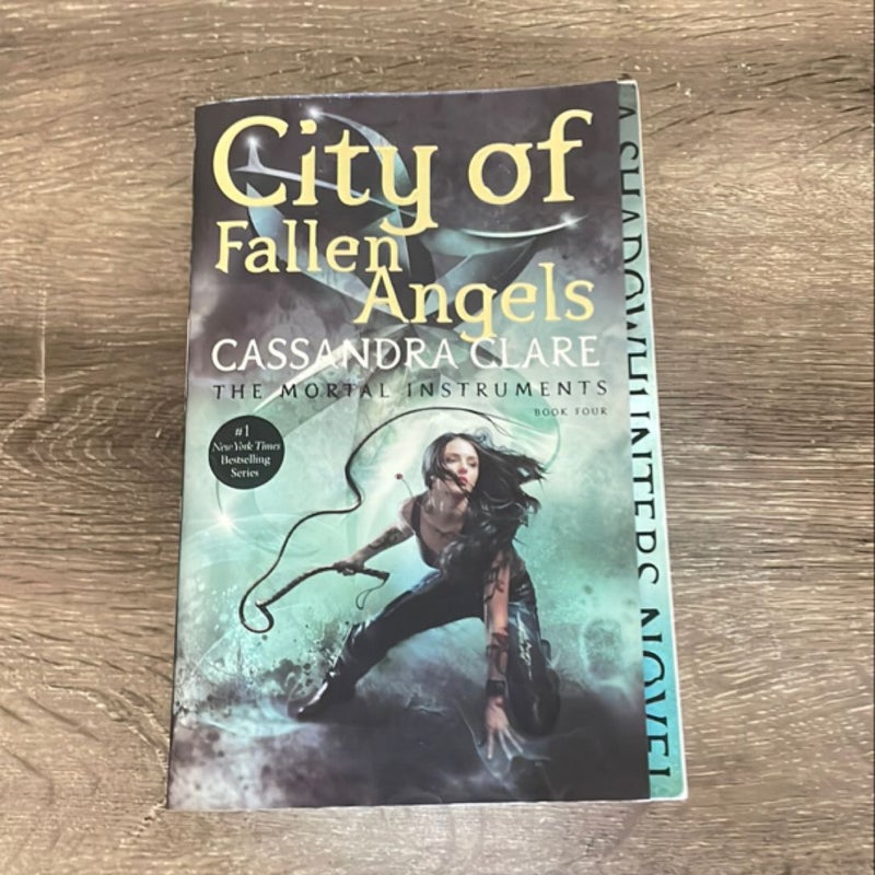 City of Fallen Angels