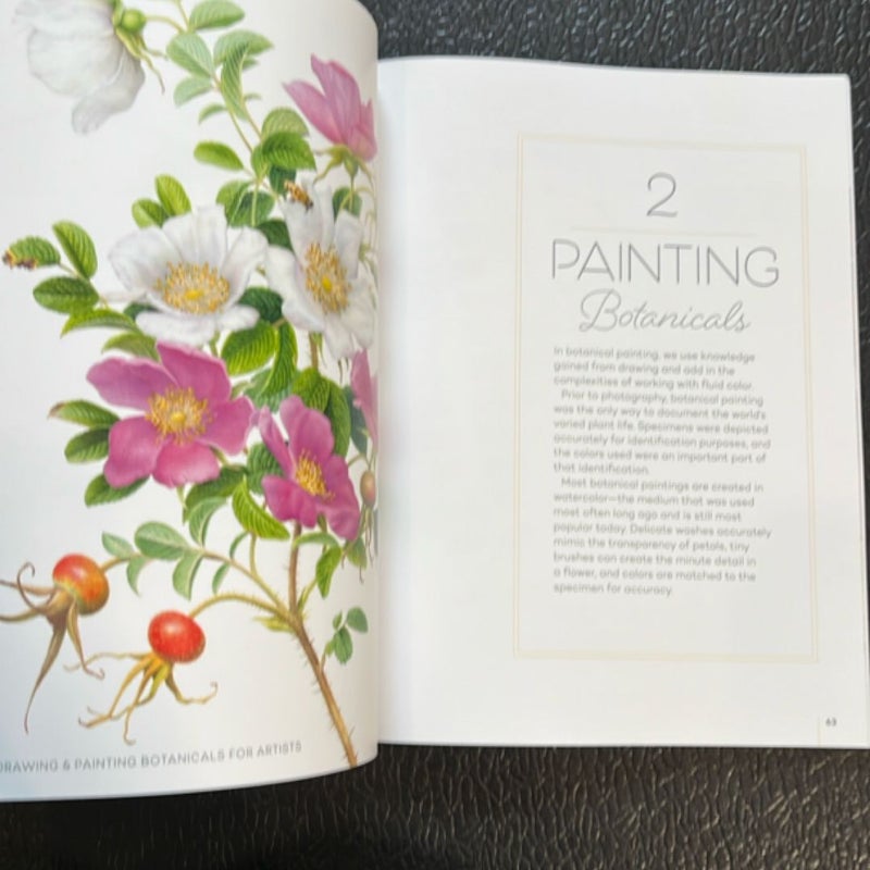 Drawing and Painting Botanicals for Artists